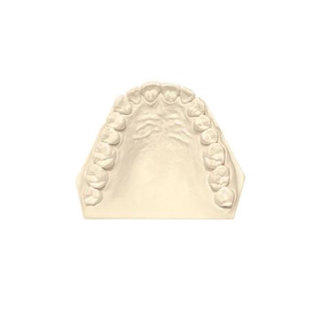 Dental Model - Plâtre synthétique type 3