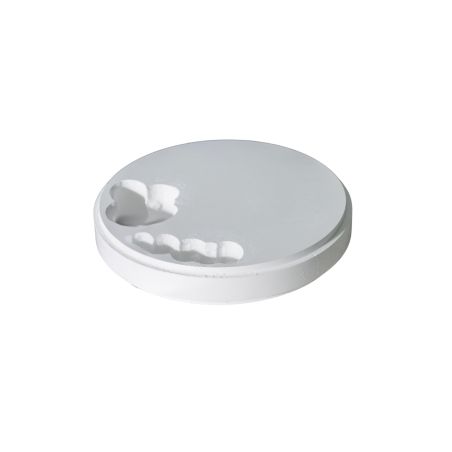 CAM-Blank D99 C10 - Metoxit