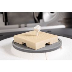 Firing Paste - Pâte de cuisson Renfert - 19220310
