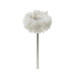 Brosses en coton montés 22 mm Renfert (12) - 2051000