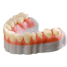 Freeprint Gingiva 385