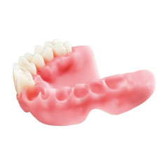 Freeprint Denture 385 (500 g)