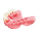 Freeprint Denture 385 (500 g)